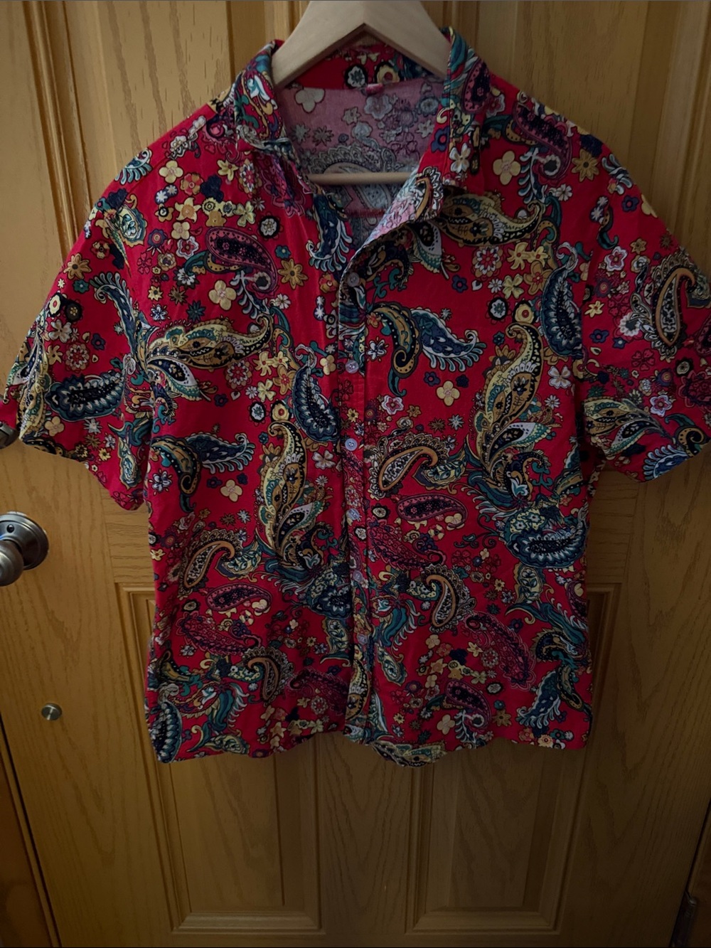 Men's Red Paisley Short-Sleeve Button-Down Shirt